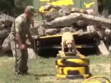 Kahraman köpekler böyle eğitimden geçiyor