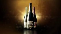 Cava Reyes Aragon 20 sec. (English Version)_clip3