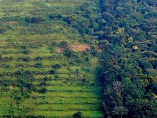 Tanzania: African Tour operator