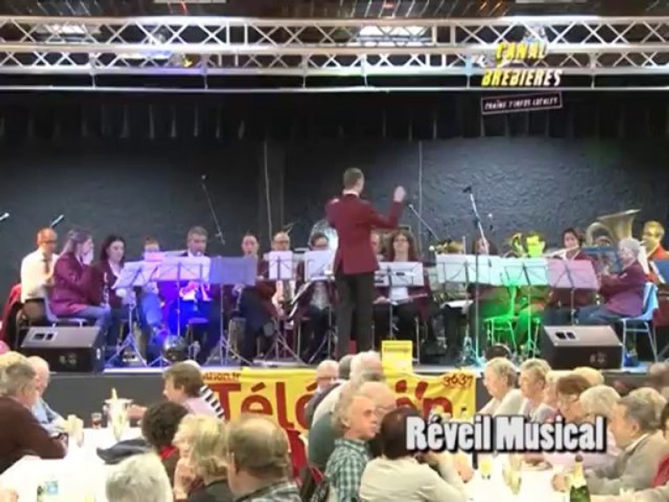 Le Telethon 2013