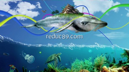 code promotions Amoureux