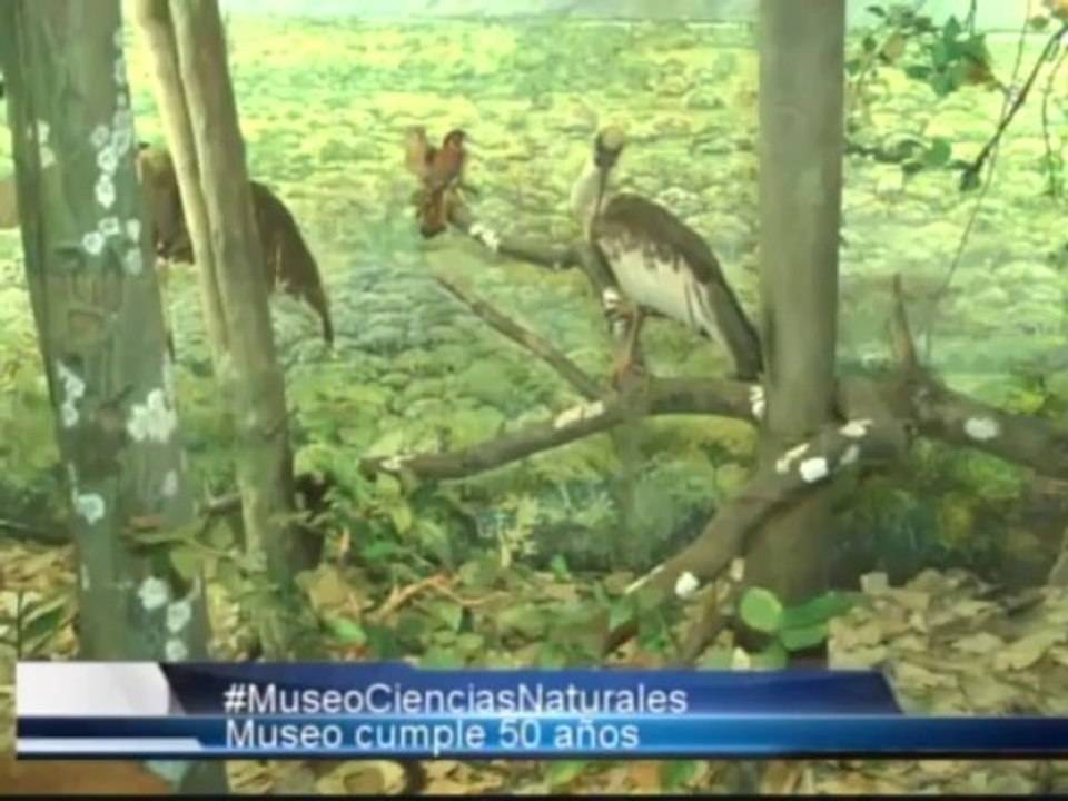 Informativo Web Noticias 16 de Diciembre de 2013 Emisión Mediodía