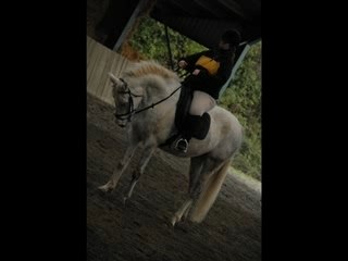 Travail et concours Ardichamps