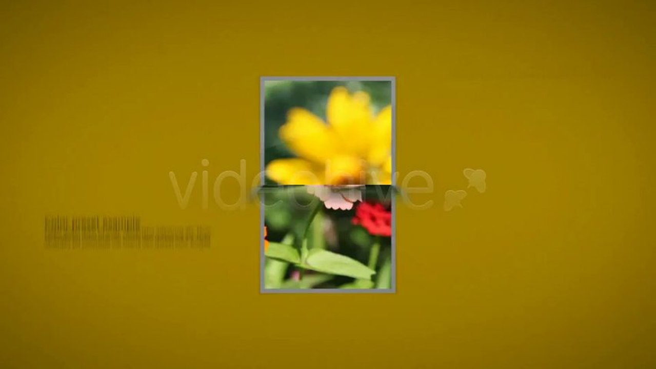My Smart Album - After Effects Template