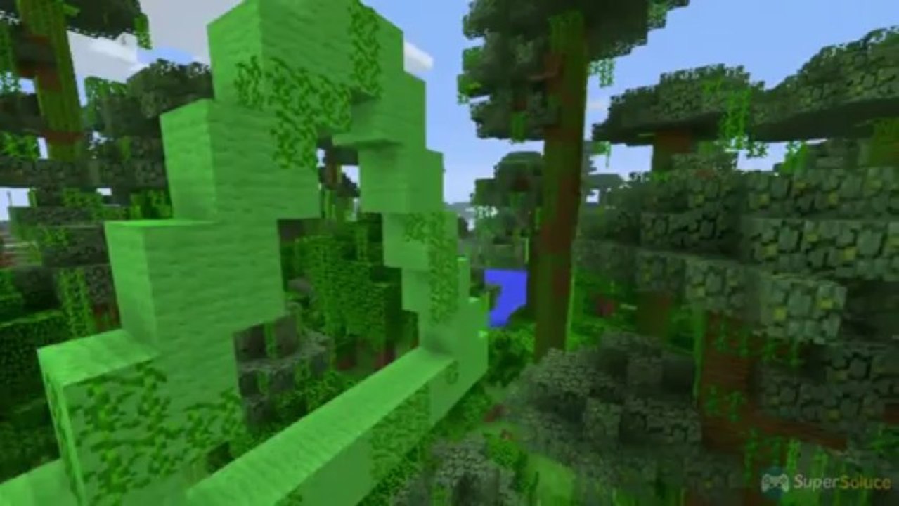 Minecraft - Trailer Edition PS3