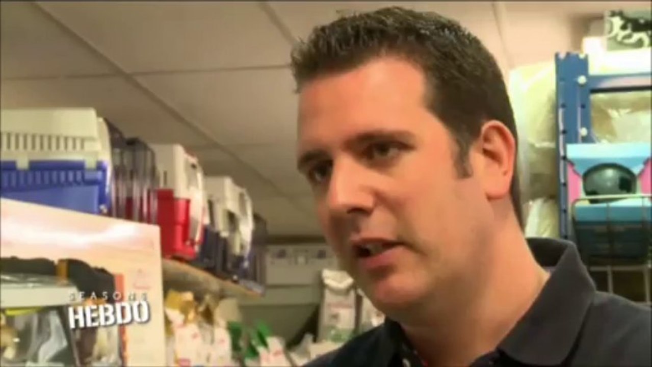 Reportage cage de transport