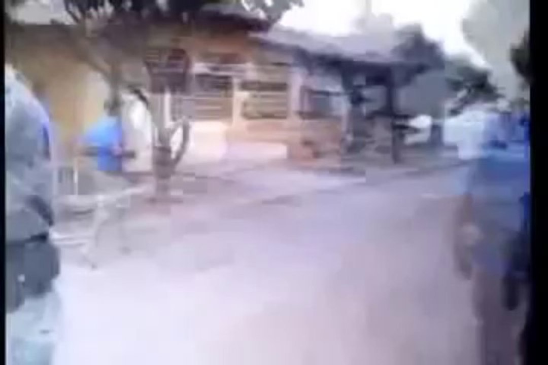 pitbull saldırısı 18+