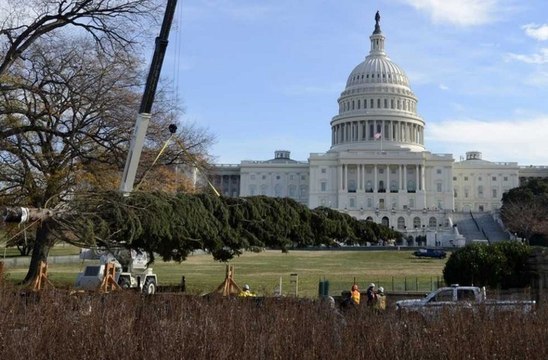 Christmas tree arrives at Capitol