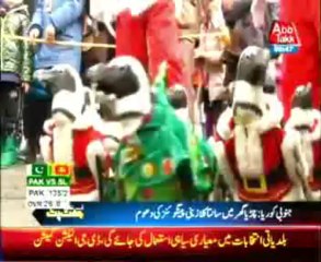 South Korea Santa Penguins