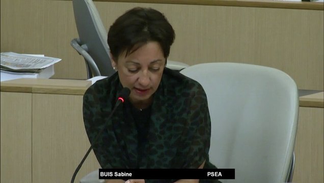 Gaz de schiste : pour une réforme du code Minier - Sabine BUIS