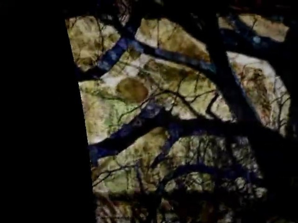 Pim Zond - Halloween at Christmas Hypnotic MUSIC Video - "Kold Air Kitty"