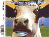 TAMMY WHY NOT - Party on the prairie (extended party mix)