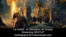 Le Hobbit: la Désolation de Smaug Streaming GRATUIT - Film en français