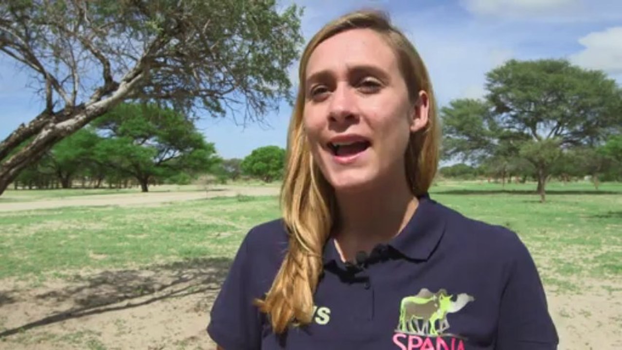 Leuchtende Esel für mehr Sicherheit im Straßenverkehr