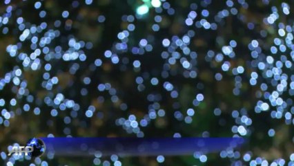 Un sapin de Noël géant dans la cour d'honneur de l'Elysée