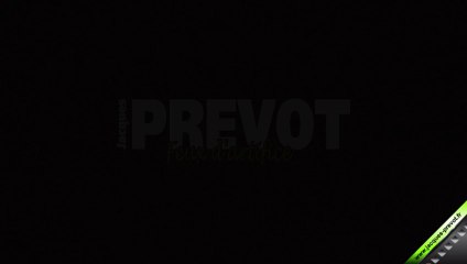 Bbe 75mm cercle rouge