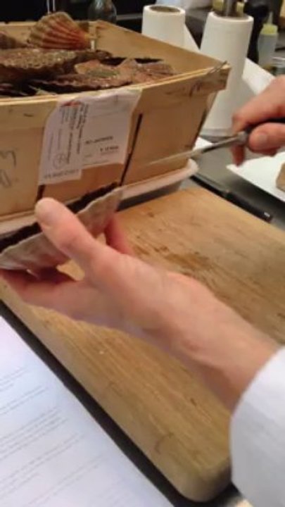 Ouvrir une coquille St-Jacques