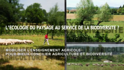 L'écologie du paysage au service de la biodiversité ?