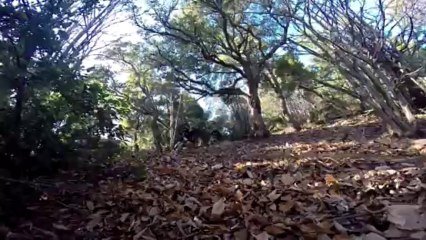 endurocbaron vtt et DH Shuttle a Roquebrune sur Argens spécial 8 : La flûte