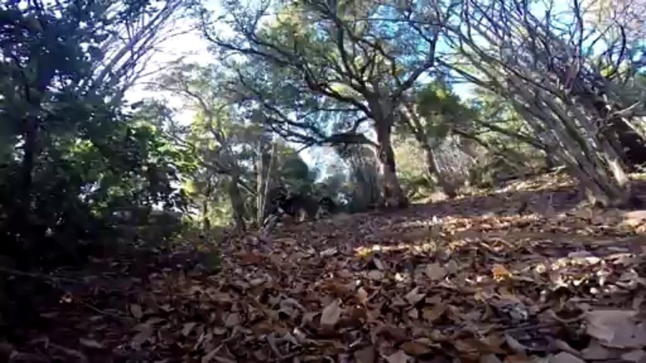 endurocbaron vtt et DH Shuttle a Roquebrune sur Argens spécial 8 : La flûte