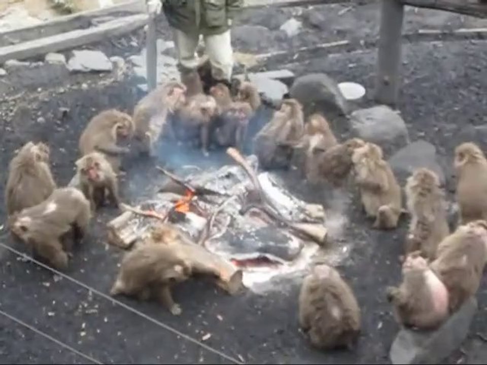 Que frio!