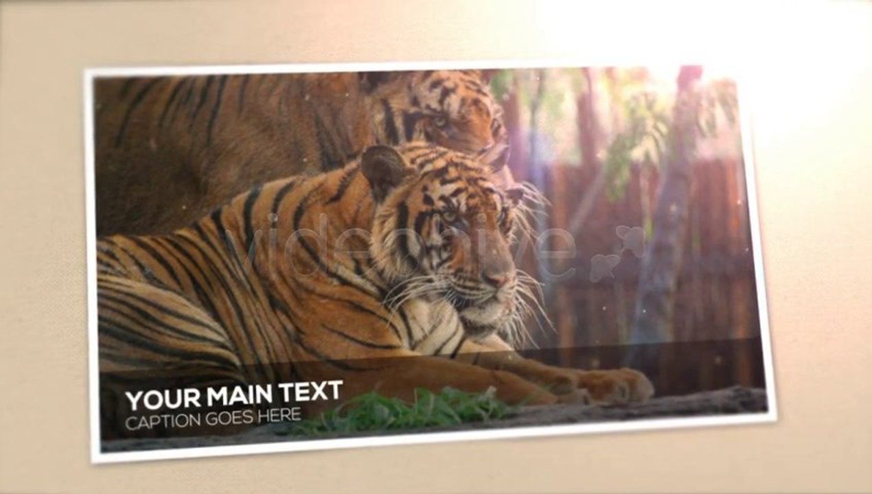 Polaroid Film Photo Album - After Effects Template