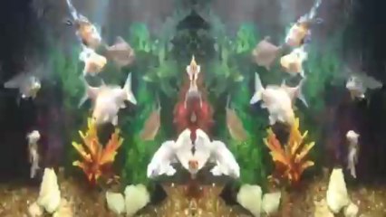 Ruh's Edit from December 19, 2013 at 11:21 AM