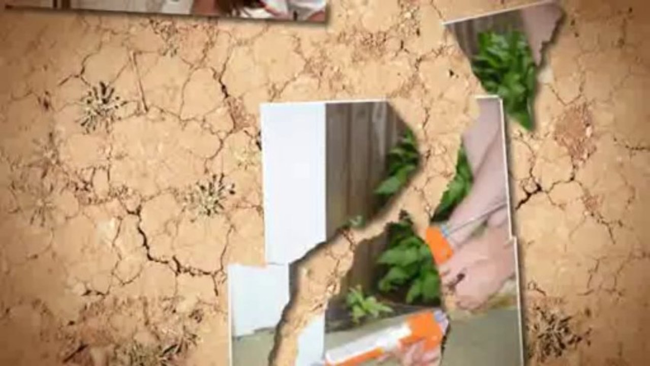 Long Beach Pest Control