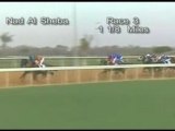 UAE Derby 2006 - Thoroughbred Horse Race
