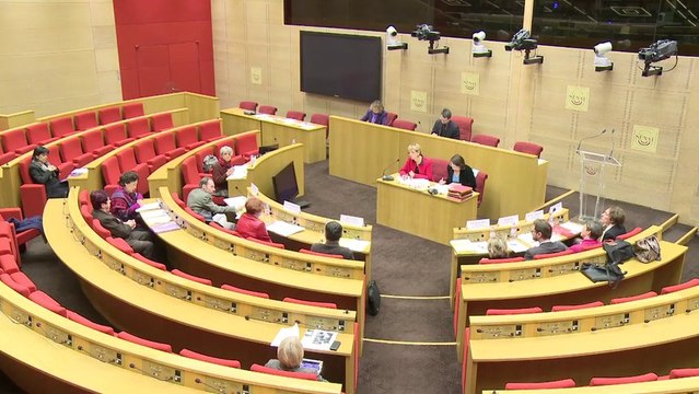 [Entretien] Violences sexuelles faites aux femmes lors des conflits armés : sythèse des auditions