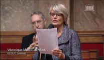 Véronique Massonneau interroge le gouvernement sur la question de la fin de vie