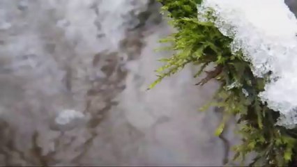 Winter  trance, Ice bells on creek