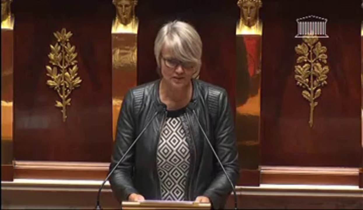 Véronique Massonneau - Lecture définitive réforme des retraites