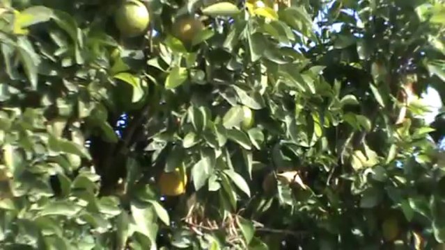 Marokko Marrakesch das Wunder von Marrakesh der Platz der Gaukler (2)