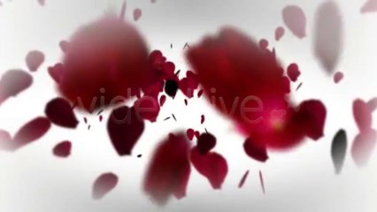 Romantic Logo and Text Reveal - After Effects Template