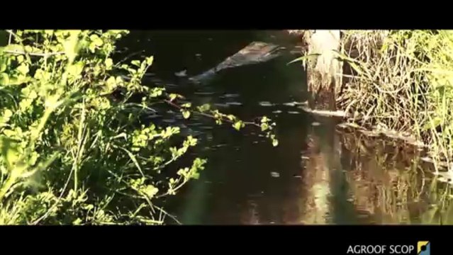 AGROFORESTERIE enjeux et perspectives - PARTIE 1