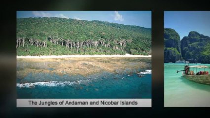 Andaman Tour Packages