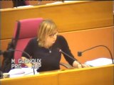 Budget 2014 | Région IDF : Développement Economique - Intervention de Muriel GUENOUX