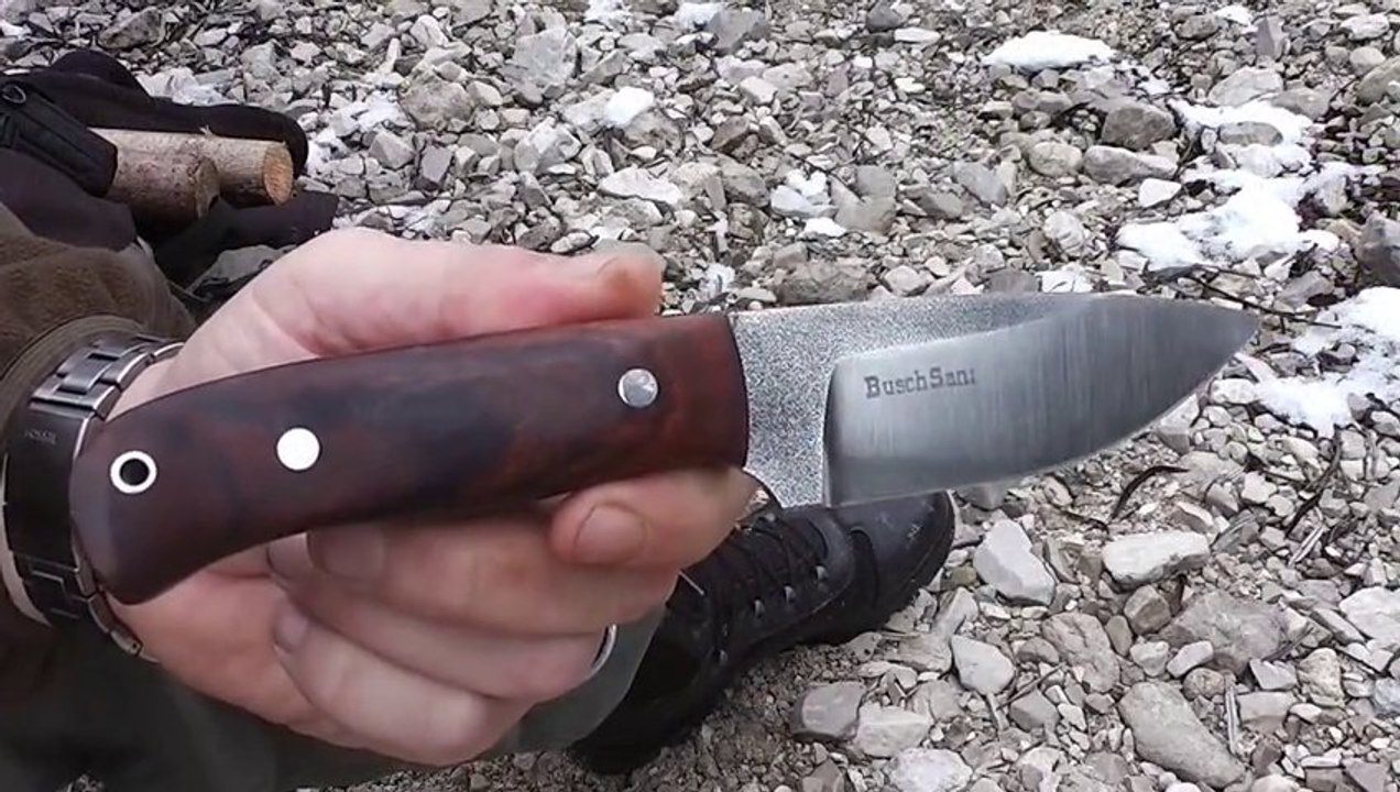 BuschSani Termite - Die Reise geht weiter