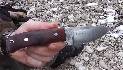 BuschSani Termite - Die Reise geht weiter