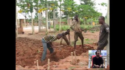 Capsule Bénin Quinoa