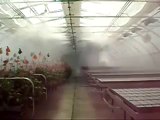 Hệ thống phun sương làm mát tưới cây tưới lan tưới nấm tự động