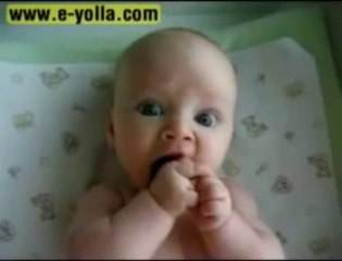 Bu Köpekçik Gerçek mi Oyuncak mı Belli Değil