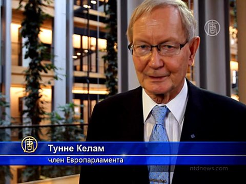 Что думает Европарламент об извлечении органов в КНР?