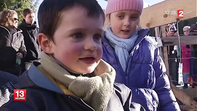 Plus fort que le PMU, les courses de rennes dans le Jura