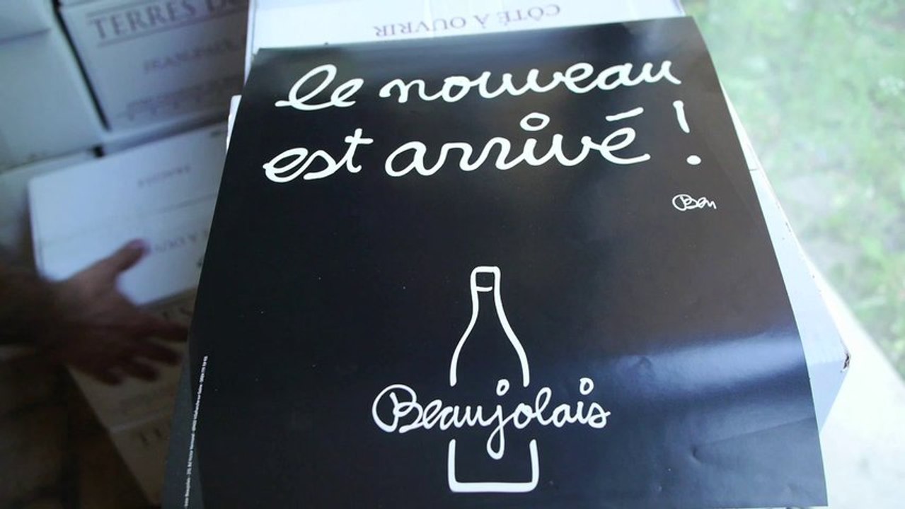 Les Chineurs de Vins Episode 1 - Le Beaujolais Nouveau