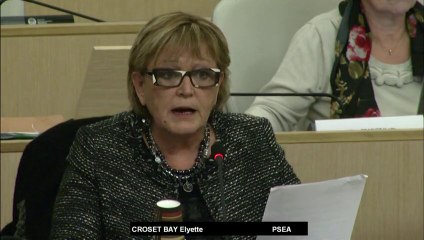 Budget 2014 - Amendement Maisons de Services Publics - Elyette CROSET-BAY