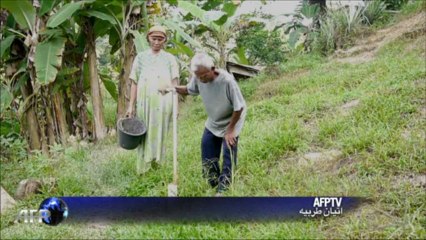 حمى الفحم تصيب جزيرة بورنيو الإندونيسية