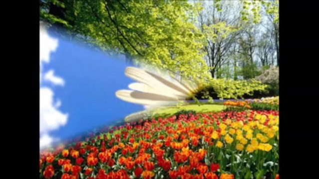 Nesrin Ersipah - Aradığın Aşkı Söyle Buldun mu _ [[ 2013 Yeni Albüm ]]