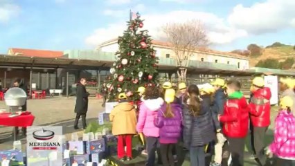 Alla Città dell’Altra Economia arriva l’Eco-albero